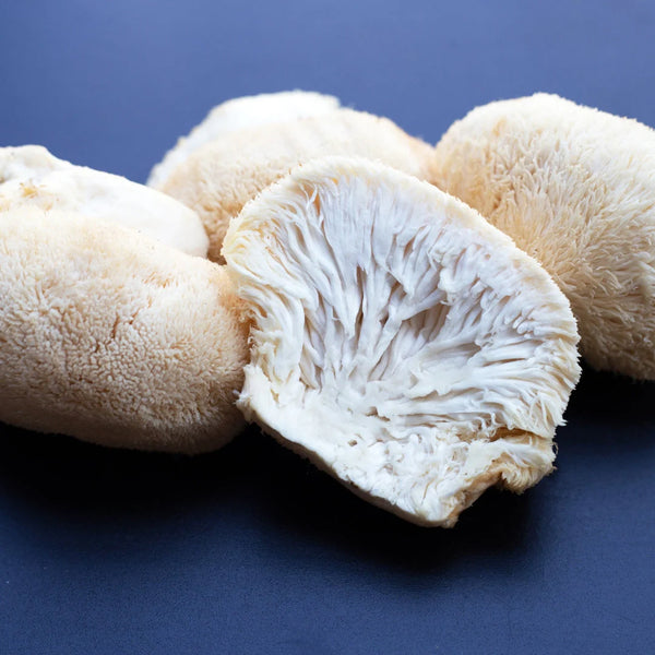 Lion’s Mane